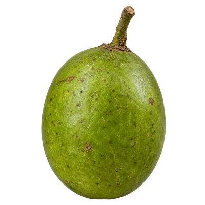 Whole fresh green chalta fruit isolated on a transparent background