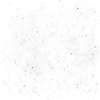 Subtle black film grain texture overlay with natural noise effect on transparent background