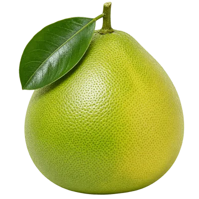 Fresh green pomelo fruit with natural textured peel and leaf
