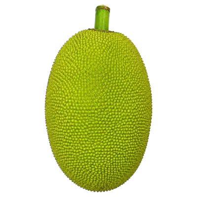 Whole Fresh Green Jackfruit Transparent PNG Clipart for Design