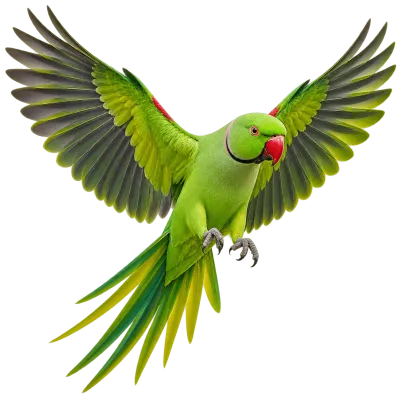Realistic green parrot flying with fully spread wings and detailed feathers