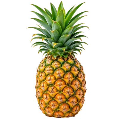 Whole ripe pineapple with green crown isolated on a transparent background