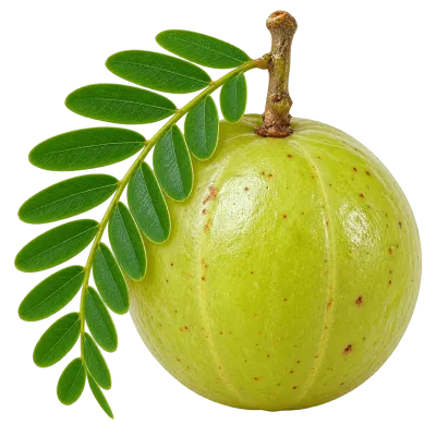 Whole fresh amla Indian gooseberry with green leaves on transparent background