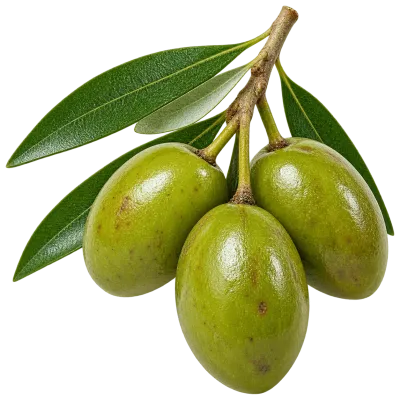 Whole fresh green olives with leaves isolated on transparent background