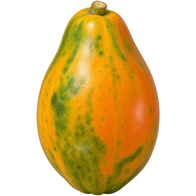 Whole ripe papaya fruit with green and orange skin on transparent