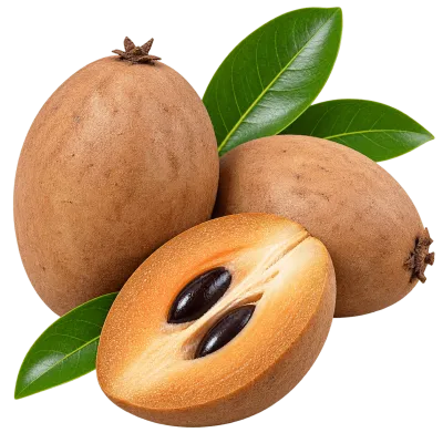 Whole brown sapodilla fruits with green leaves isolated on transparent background