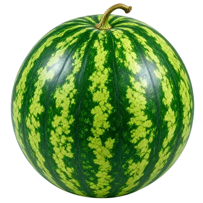 Whole ripe watermelon with green striped rind and stem isolated on transparent background