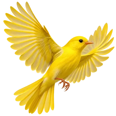 Photorealistic yellow bird flying with wings spread isolated on transparent background